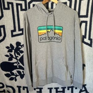 Patagonia Hoodie Grey Size Medium Adult Unisex